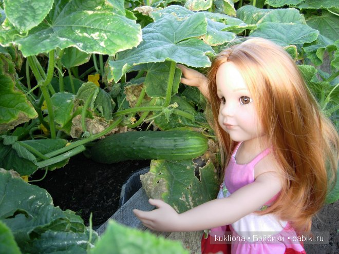 Во саду ли, в огороде. Стефания собирает урожай. Кукла Ханна на прогулке 2012 Gotz Hanna and her dog | Бэйбики Во саду ли, в огороде. Стефания собирает урожай. Кукла Ханна на прогулке 2012 Gotz Hanna and her dog