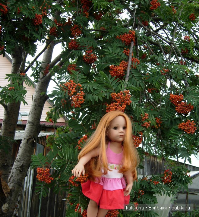 Во саду ли, в огороде. Стефания в саду собирает урожай. Кукла Ханна на прогулке 2012 Gotz Hanna and her dog | Бэйбики Во саду ли, в огороде. Стефания в саду собирает урожай. Кукла Ханна на прогулке 2012 Gotz Hanna and her dog