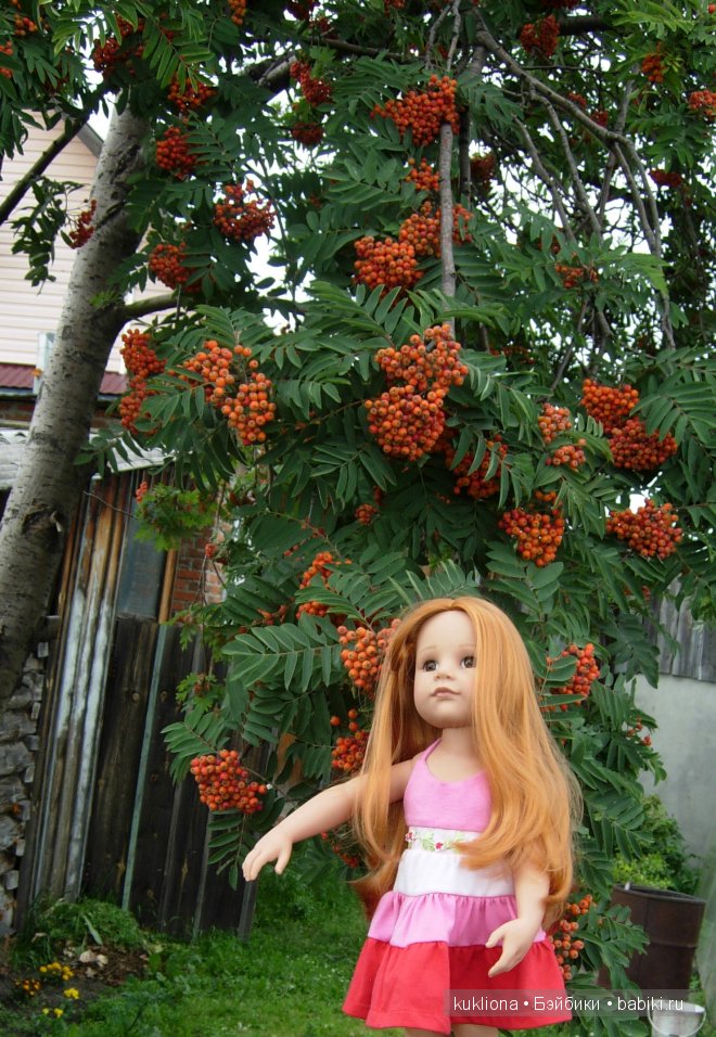 Во саду ли, в огороде. Стефания в саду собирает урожай. Кукла Ханна на прогулке 2012 Gotz Hanna and her dog | Бэйбики Во саду ли, в огороде. Стефания в саду собирает урожай. Кукла Ханна на прогулке 2012 Gotz Hanna and her dog