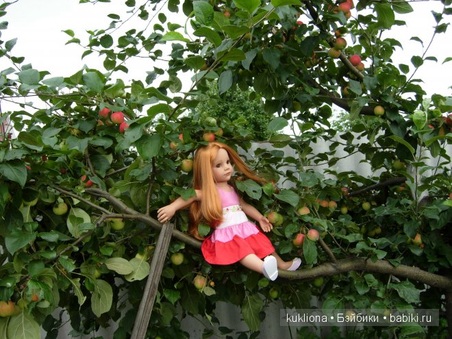 Во саду ли, в огороде. Стефания в саду собирает урожай. Кукла Ханна на прогулке 2012 Gotz Hanna and her dog | Бэйбики Во саду ли, в огороде. Стефания в саду собирает урожай. Кукла Ханна на прогулке 2012 Gotz Hanna and her dog (фото 8)