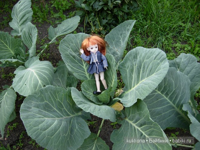 Как Стефания подружилась с маленькой садовой феечкой.Кукла Ханна на прогулке 2012 Gotz Hanna and her dog (фото 3)