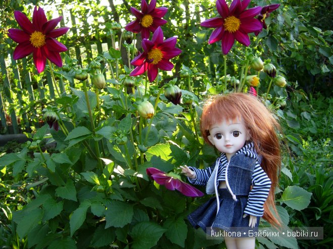 Как Стефания подружилась с маленькой садовой феечкой.Кукла Ханна на прогулке 2012 Gotz Hanna and her dog