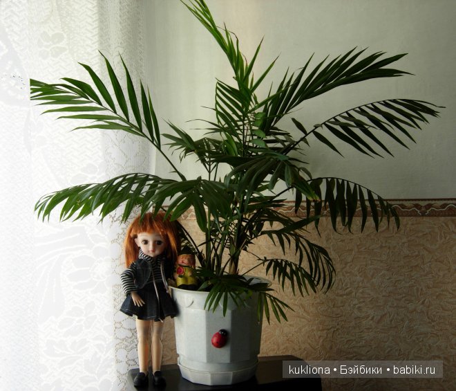 Аурелия осваивается дома.Кукла Звездочка Baby girl | Бэйбики Аурелия осваивается дома.Кукла Звездочка Baby girl (фото 5)