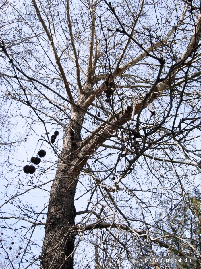 Когда сбываются новогодние желания или как Марейка поехала к морю. Кукла Mareike Kidz‘n’Cats, Sonja Hartmann | Бэйбики Когда сбываются новогодние желания или как Марейка поехала к морю. Кукла Mareike Kidz‘n’Cats, Sonja Hartmann