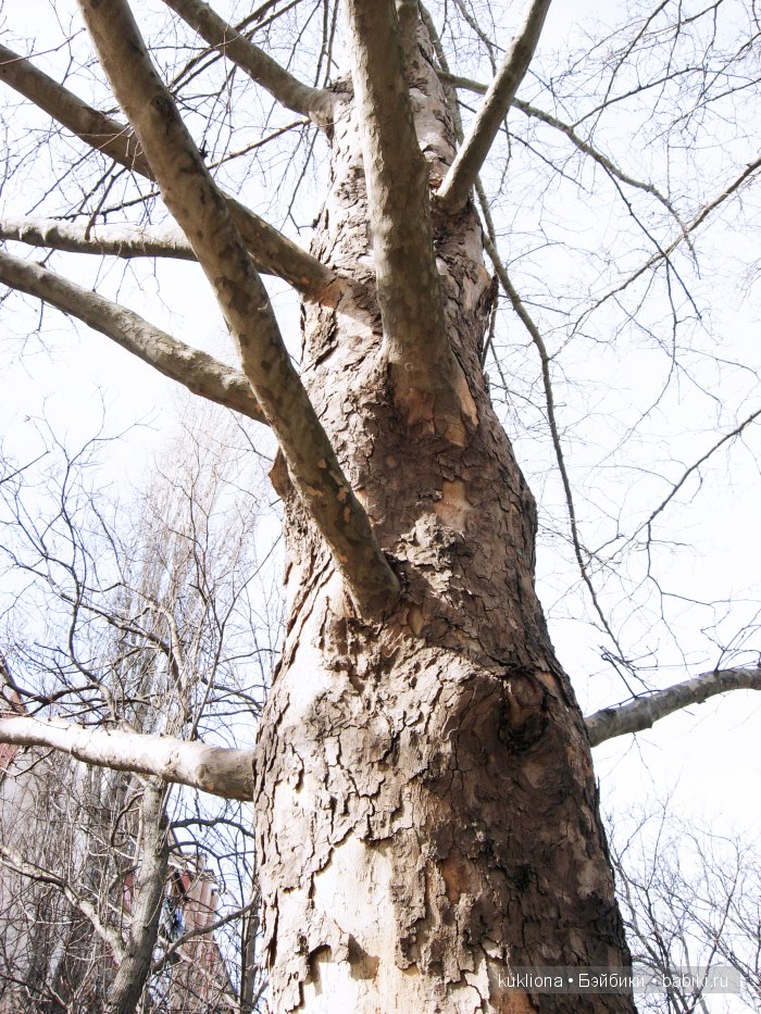 Когда сбываются новогодние желания или как Марейка поехала к морю. Кукла Mareike Kidz‘n’Cats, Sonja Hartmann | Бэйбики Когда сбываются новогодние желания или как Марейка поехала к морю. Кукла Mareike Kidz‘n’Cats, Sonja Hartmann