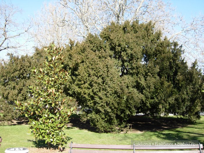 Марейка у моря в Севастополе.Когда сбываются новогодние желания. Кукла Mareike Kidz‘n’Cats, Sonja Hartmann