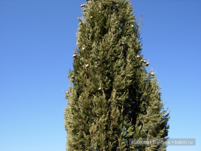 Марейка у моря в Севастополе.Когда сбываются новогодние желания. Кукла Mareike Kidz‘n’Cats, Sonja Hartmann (фото 5)