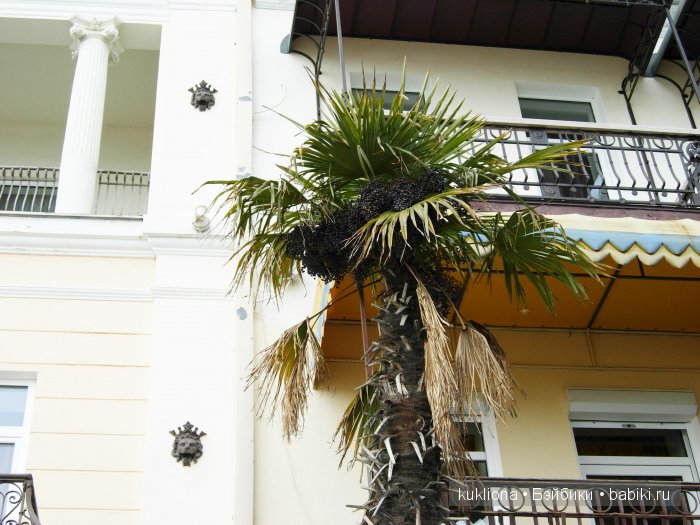 Марейка в Ялте. Когда сбываются новогодние желания. Кукла Mareike Kidz‘n’Cats, Sonja Hartmann (фото 3)