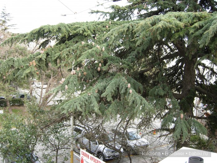 Марейка в Ялте. Когда сбываются новогодние желания. Кукла Mareike Kidz‘n’Cats, Sonja Hartmann