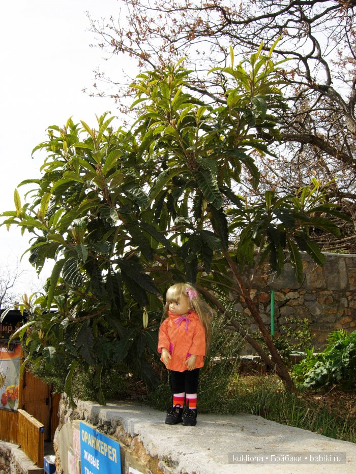 Марейка в замке "Ласточкино гнездо". Когда сбываются новогодние желания. Кукла Mareike Kidz‘n’Cats, Sonja Hartmann (фото 4)