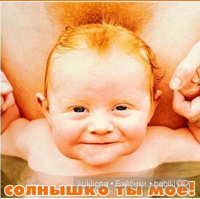 Рыжий, рыжий, конопатый. Моё семейство рыжих испанцев (фото 5)