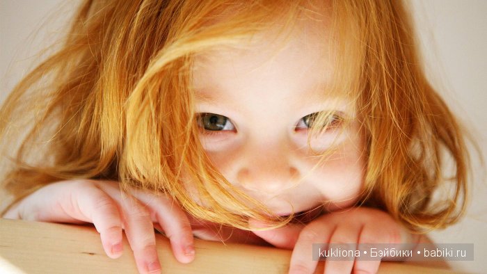 Рыжий, рыжий, конопатый. Моё семейство рыжих испанцев