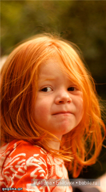 Рыжий, рыжий, конопатый. Моё семейство рыжих испанцев