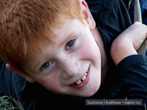 Рыжий, рыжий, конопатый. Моё семейство рыжих испанцев (фото 8)