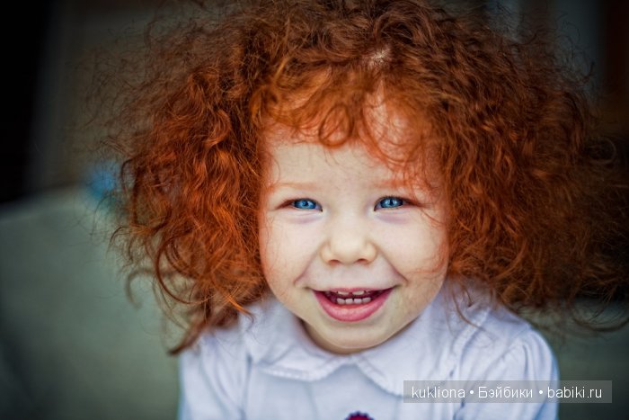 Рыжий, рыжий, конопатый. Моё семейство рыжих испанцев