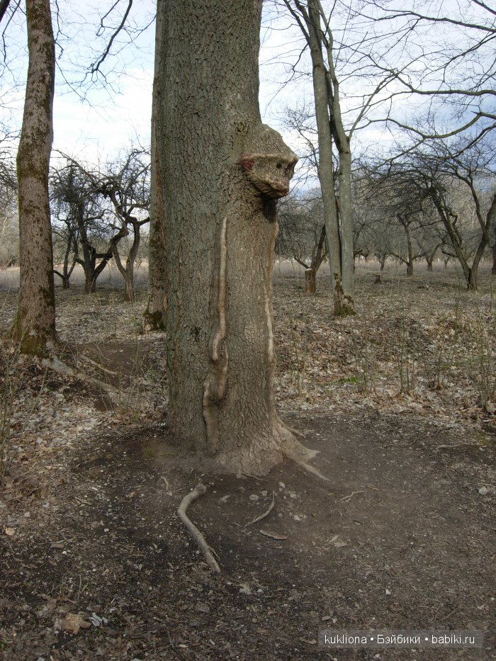 Родовое имение Л.Н. Толстого - усадьба " Ясная поляна".Кукла Mareike Kidz‘n’Cats, Sonja Hartmann