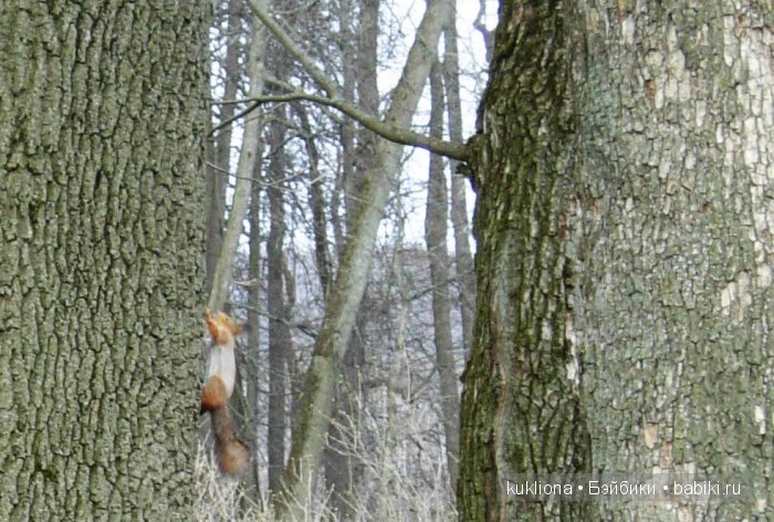 Родовое имение Л.Н. Толстого - усадьба " Ясная поляна".Кукла Mareike Kidz‘n’Cats, Sonja Hartmann