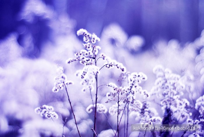 А мне фиолетово! Мои первые платья для куклы Наташи Minouche от Sylvia Natterer | Бэйбики А мне фиолетово! Мои первые платья для куклы Наташи Minouche от Sylvia Natterer (фото 9)