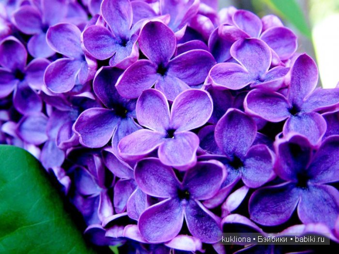 А мне фиолетово! Мои первые платья для куклы Наташи Minouche от Sylvia Natterer | Бэйбики А мне фиолетово! Мои первые платья для куклы Наташи Minouche от Sylvia Natterer