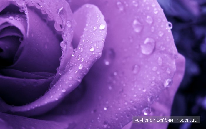 А мне фиолетово! Мои первые платья для куклы Наташи Minouche от Sylvia Natterer | Бэйбики А мне фиолетово! Мои первые платья для куклы Наташи Minouche от Sylvia Natterer