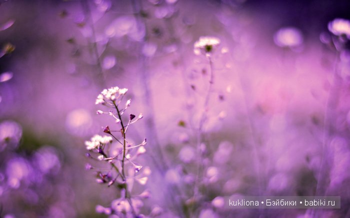 А мне фиолетово! Мои первые платья для куклы Наташи Minouche от Sylvia Natterer | Бэйбики А мне фиолетово! Мои первые платья для куклы Наташи Minouche от Sylvia Natterer