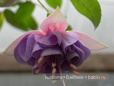 А мне фиолетово! Еще платья для куклы Наташи Minouche от Sylvia Natterer | Бэйбики А мне фиолетово! Еще платья для куклы Наташи Minouche от Sylvia Natterer (фото 3)