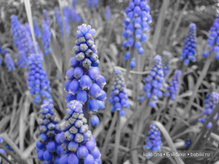 А мне фиолетово! Еще платья для куклы Наташи Minouche от Sylvia Natterer | Бэйбики А мне фиолетово! Еще платья для куклы Наташи Minouche от Sylvia Natterer