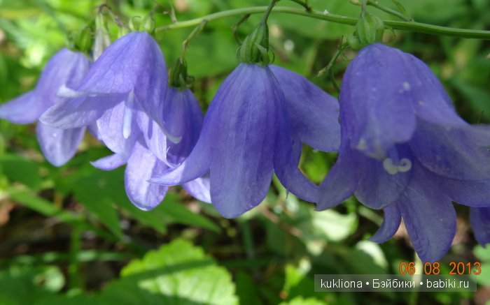А мне фиолетово! Еще платья для куклы Наташи Minouche от Sylvia Natterer | Бэйбики А мне фиолетово! Еще платья для куклы Наташи Minouche от Sylvia Natterer