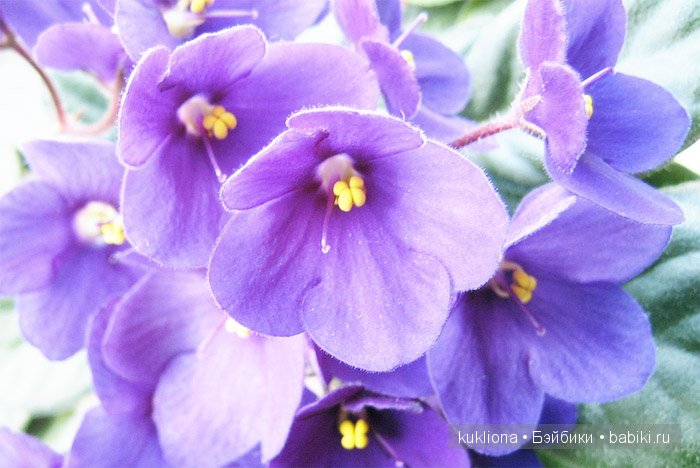 Магия сиреневого. Новые вязалочки для хуанчиков.Куклы от Antonio Juan | Бэйбики Магия сиреневого. Новые вязалочки для хуанчиков.Куклы от Antonio Juan