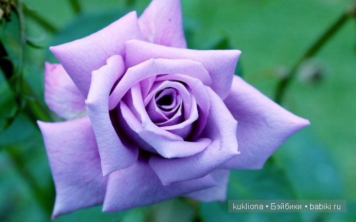 Магия сиреневого. Новые вязалочки для хуанчиков.Куклы от Antonio Juan | Бэйбики Магия сиреневого. Новые вязалочки для хуанчиков.Куклы от Antonio Juan