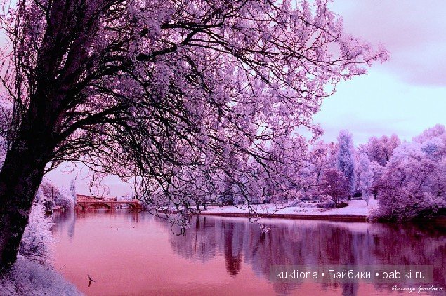 Магия сиреневого. Новые вязалочки для хуанчиков.Куклы от Antonio Juan | Бэйбики Магия сиреневого. Новые вязалочки для хуанчиков.Куклы от Antonio Juan