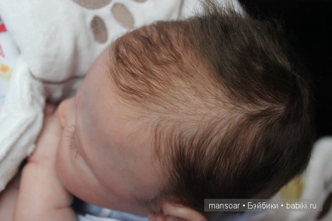 Малыши реборн Матвей, Егор и "отреборненный" ёжик