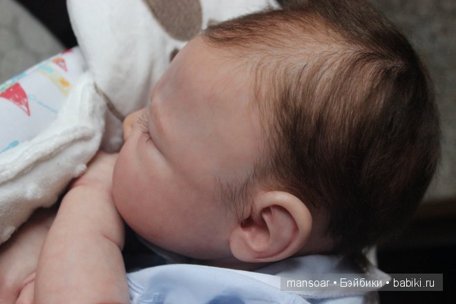 Малыши реборн Матвей, Егор и "отреборненный" ёжик