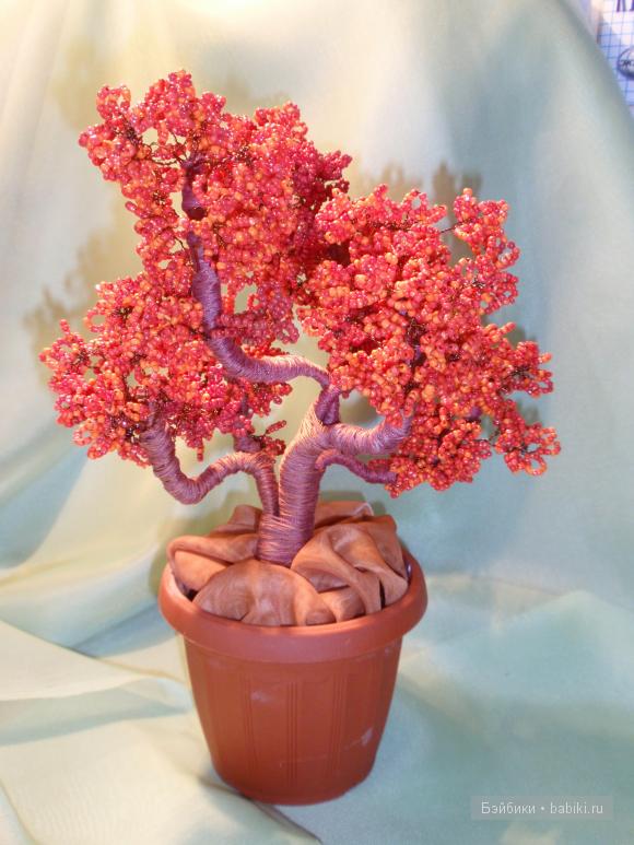 Коралловое дерево