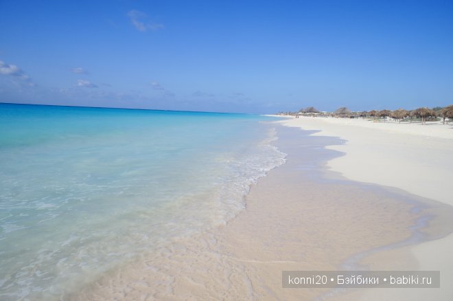 кузина куба