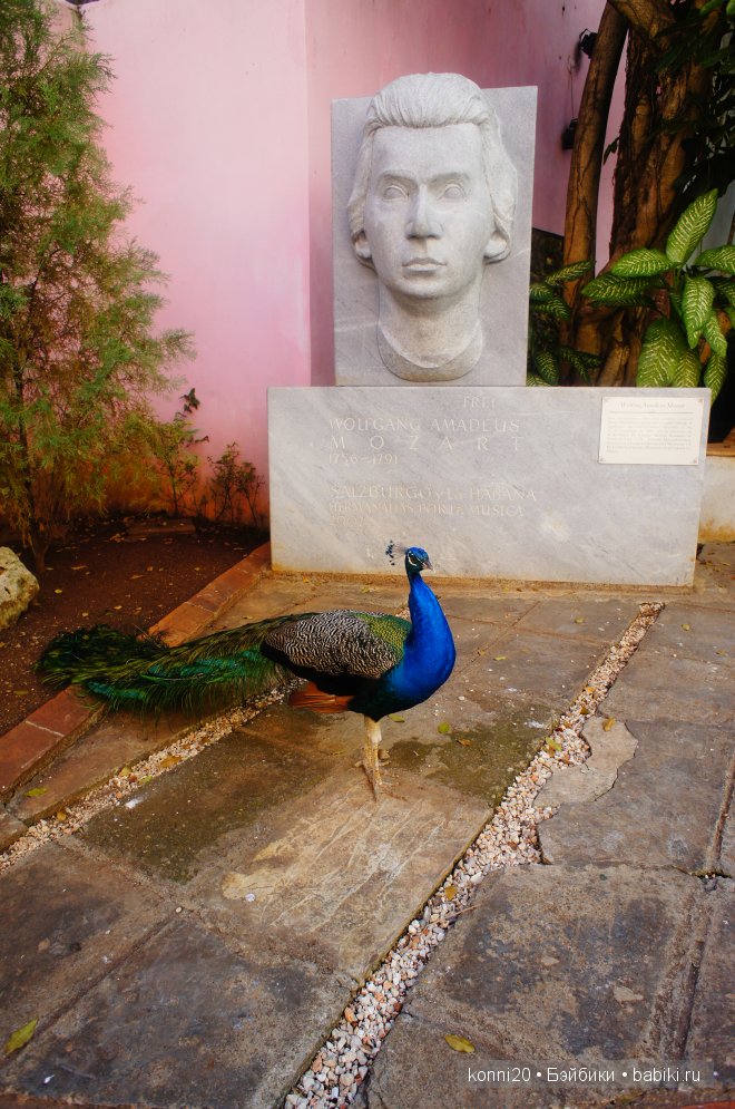 АХ Куба - ЛЮБОВЬ моя! Мы едем в ГАВАНУ