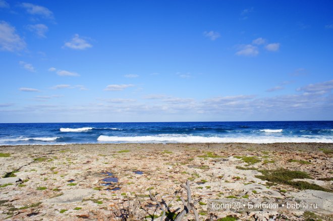 АХ Куба - ЛЮБОВЬ моя! Мы едем в ГАВАНУ (фото 2)