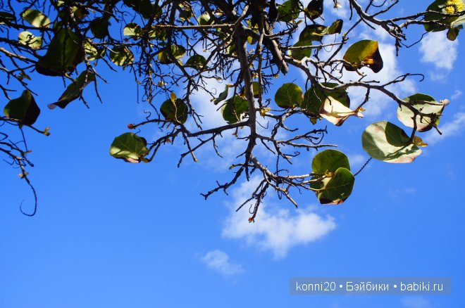 АХ Куба - ЛЮБОВЬ моя! Мы едем в ГАВАНУ (фото 5)