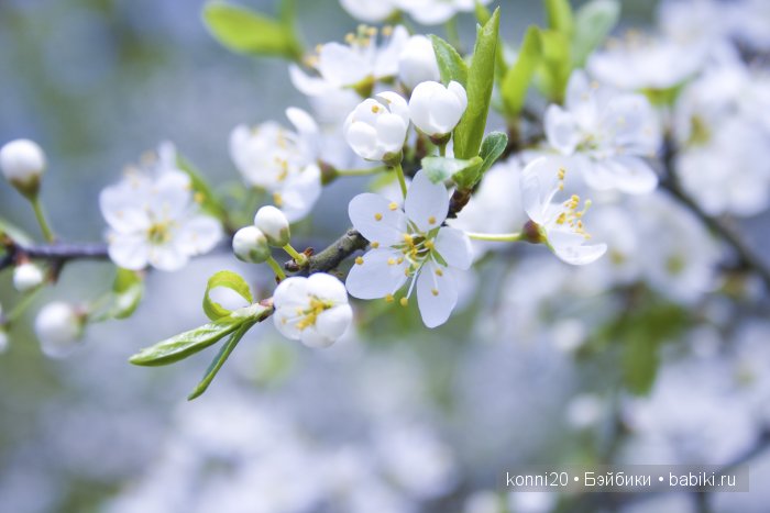 Фарфоровые куклы из Молда Dianna Effner - Рыжее Солнце и Белокурая Вишенка (фото 2)