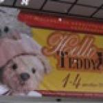 III Московская Международная выставка коллекционных медведей Hello Teddy 2011