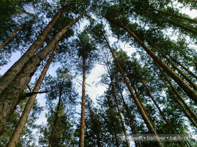 Бэйбики в лицах... Знакомимся! Виртуальная кукло-встреча Бэйбиков (фото 9)
