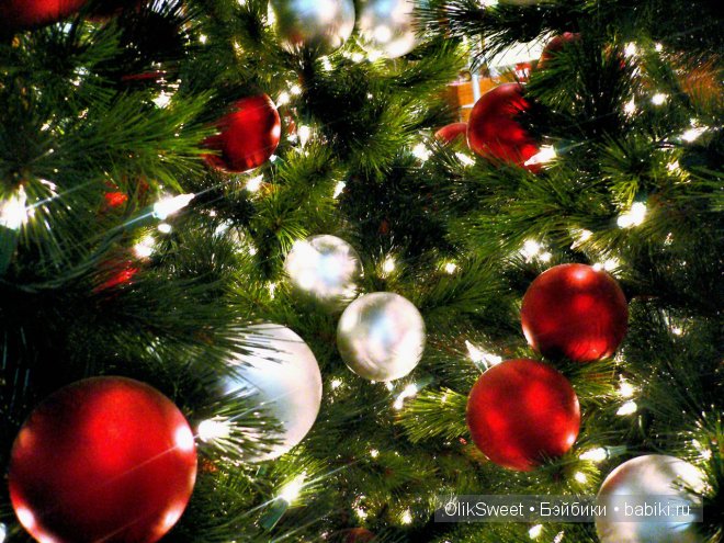 Рождественские радости Эббьен (фото 4)