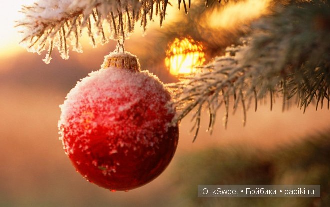 Рождественские радости Эббьен (фото 9)