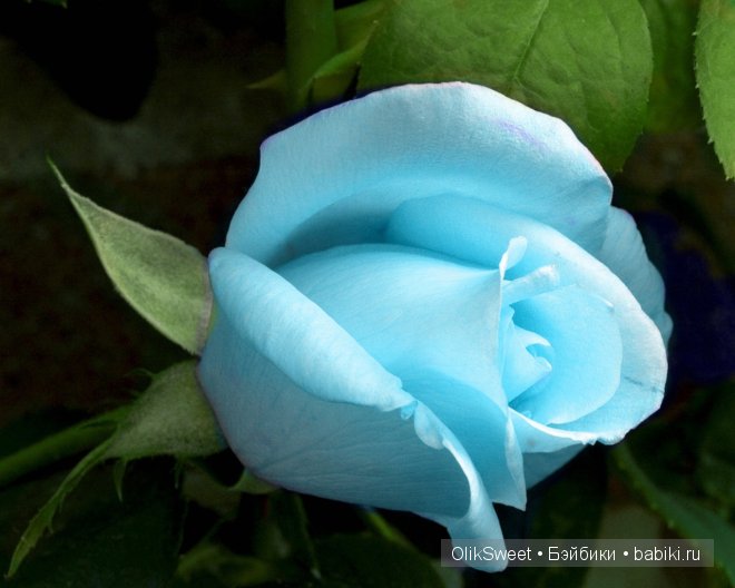 Как Катеринушка феечкой была (Heidi Plusczok)