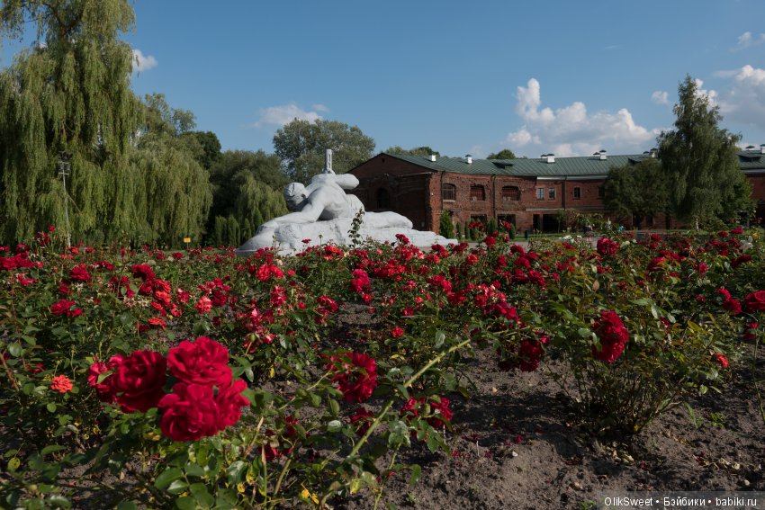 Беларусь синеокая: путешествие в Брестскую крепость