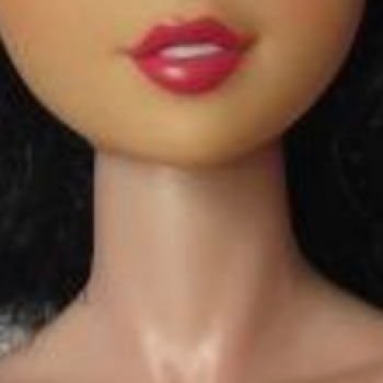 Как затонировать голову Барби?