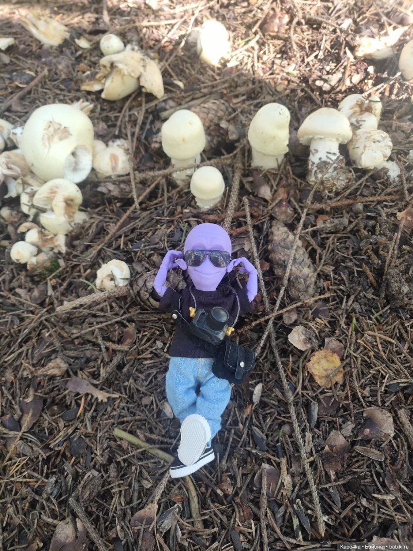 Инопланетянин в Гатчине — Домашние фото авторских кукол: личные коллекции