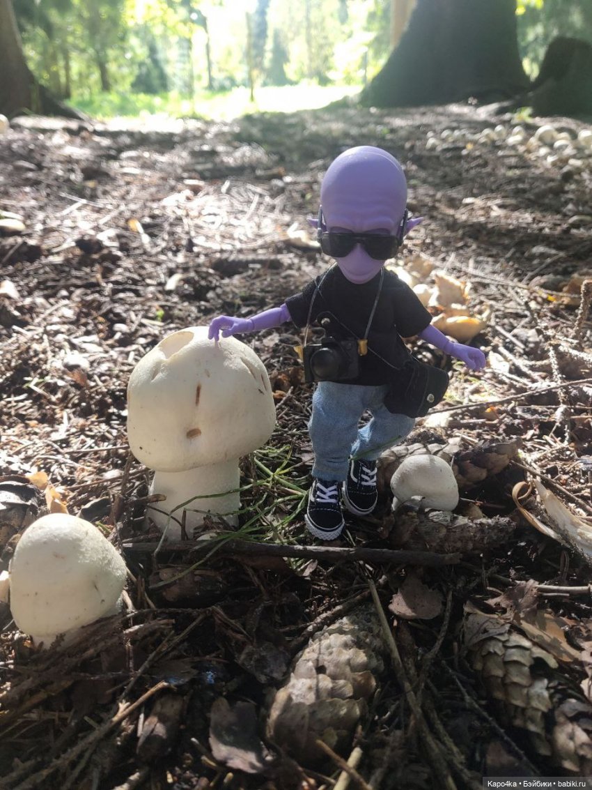 Инопланетянин в Гатчине — Домашние фото авторских кукол: личные коллекции