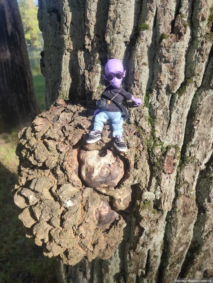 Инопланетянин в Гатчине — Домашние фото авторских кукол: личные коллекции