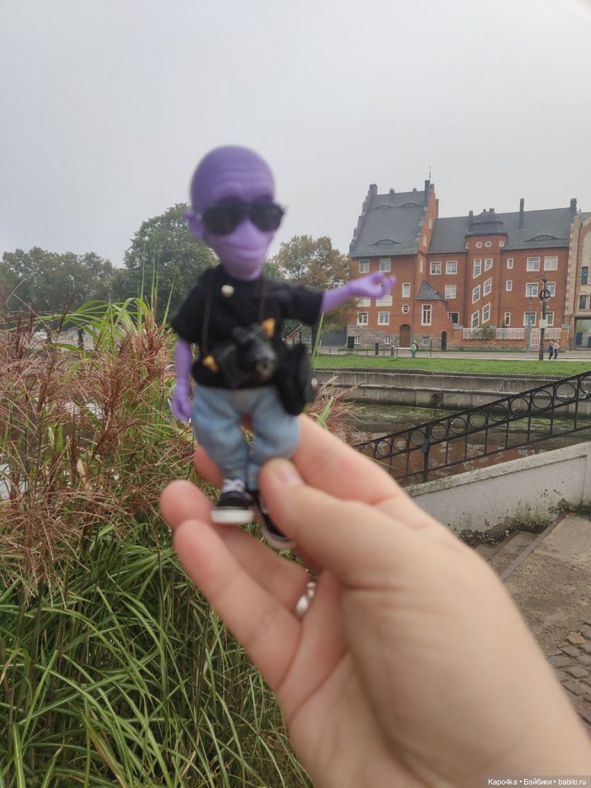 Инопланетянин в Калининграде (фото 8)